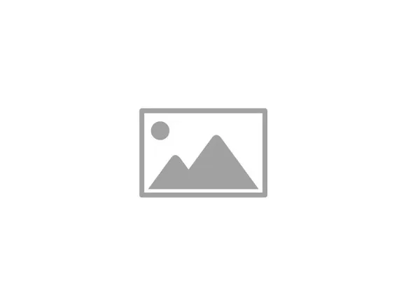 Sending organization image